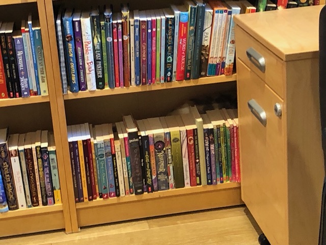 There's a kitten behind the lowest level of books