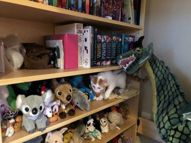 The male in with the stuffed animals, like in E. T. 