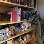 IMG_7104.jpeg