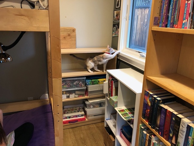 Getting from bookshelf to window
