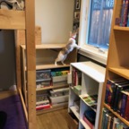 IMG_7114.jpeg