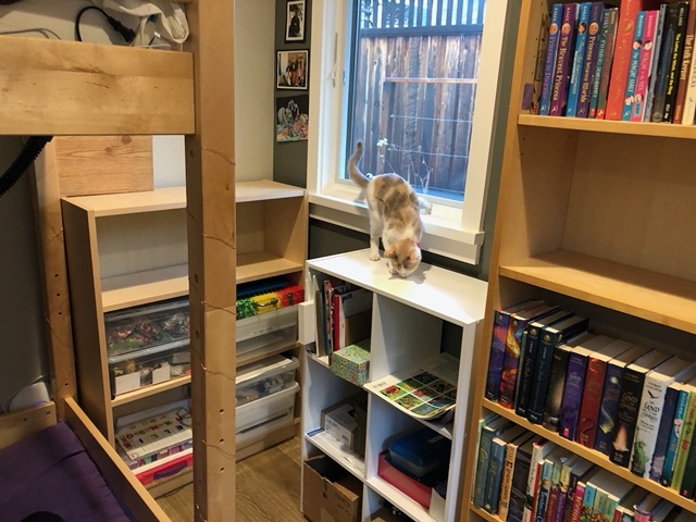 Onto the bookshelf