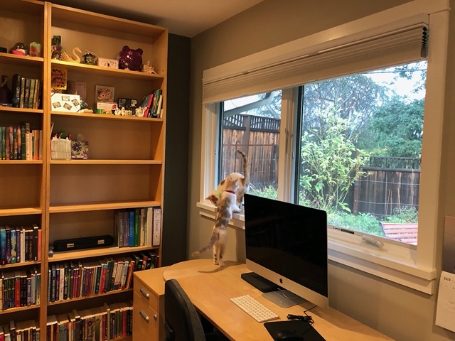 And up to windowsill