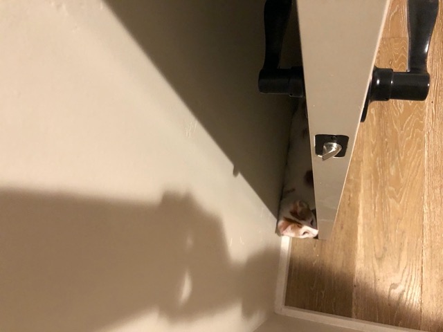 Behind the door
