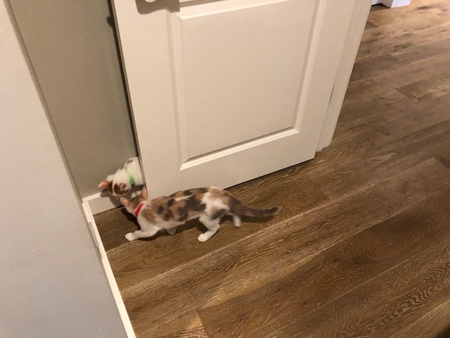 Now they've both found that hiding place