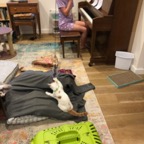 IMG_7132.jpeg