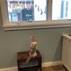 IMG_7151.jpeg