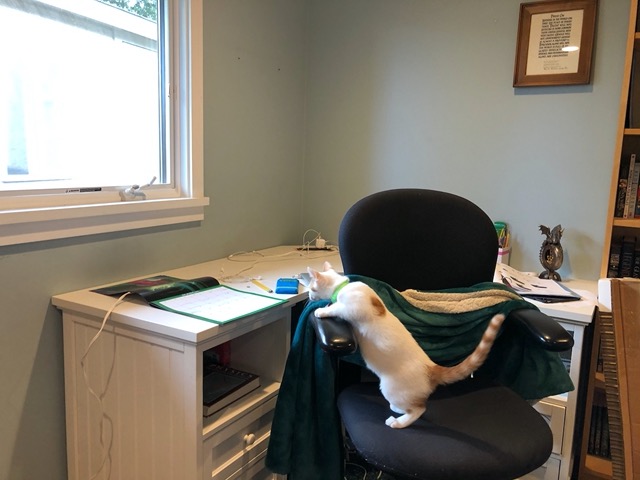 And her chair