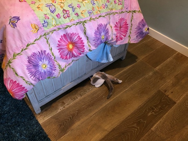 What a great place to hide