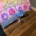 IMG_7160.jpeg