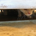 IMG_7164.jpeg