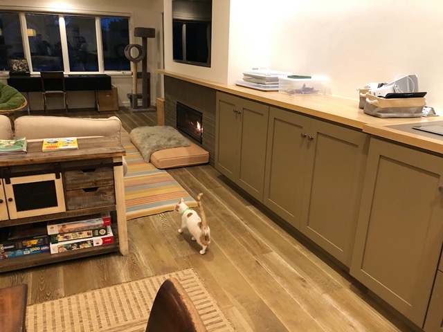 That evening we take down the corridor and let them in the living room