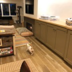 IMG_7167.jpeg