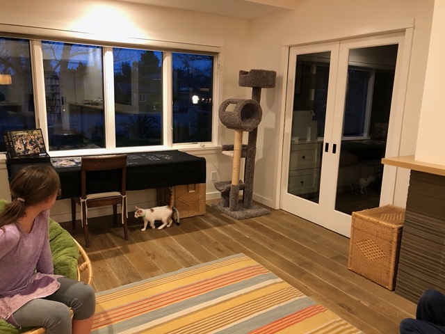 They explore the perimeter first