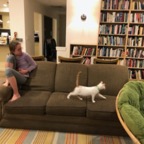 IMG_7176.jpeg
