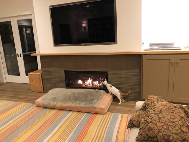 And checking out the fire in the fireplace
