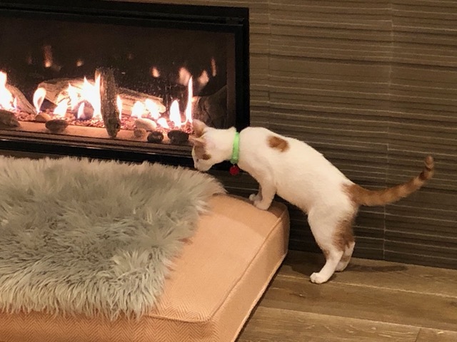 Nice and warm