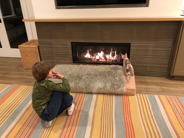 Back to the fire, which is fascinating