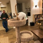IMG_7195.jpeg