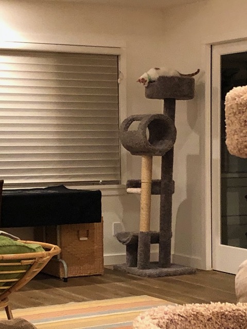 And figuring out how to get down