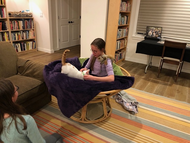 DIscovering a human in the papasan chair