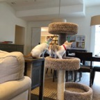IMG_7221.jpeg