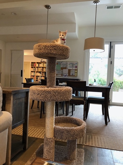 It has a great view from the top