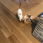 IMG_7228.jpeg