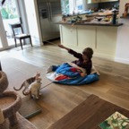 IMG_7236.jpeg