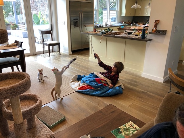 We had to teach Owen to let them catch it