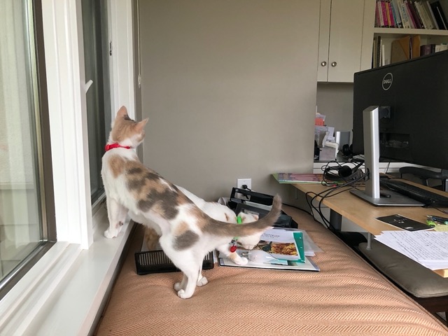 In the home office