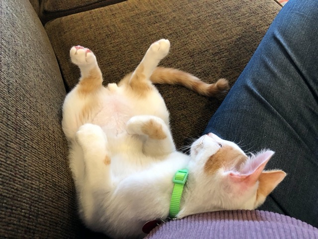 Snoozing against me.  Beyond endearing.
