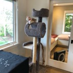 IMG_7260.jpeg