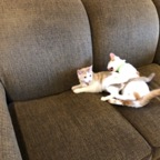 IMG_7274.jpeg