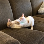 IMG_7277.jpeg