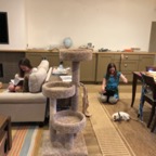 IMG_7289.jpeg