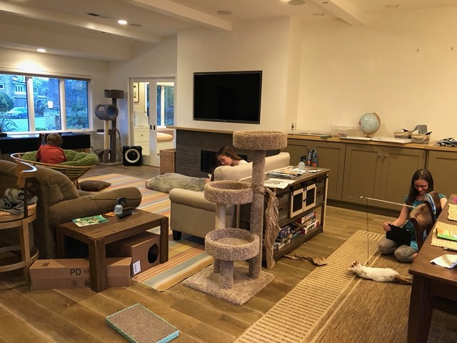 Living room scene