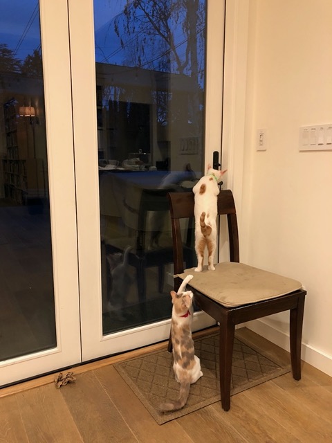 They're showing a lot of interest in the handle
