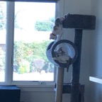 IMG_8145.jpeg