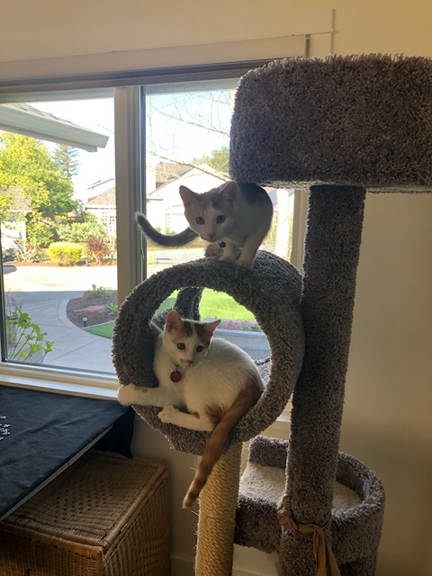 And pause for cuteness