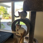 IMG_8149.jpeg