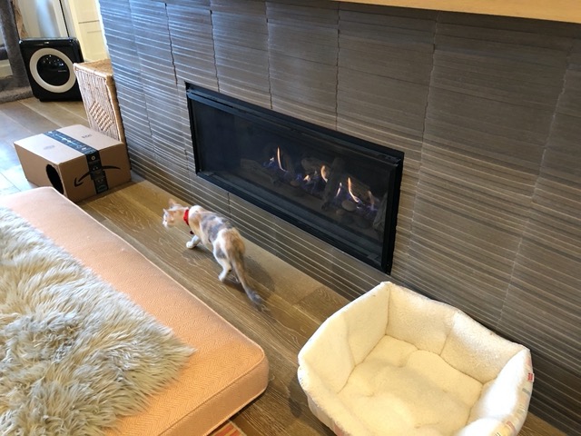 The female in front of the fire