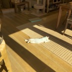 IMG_7307.jpeg