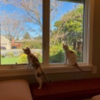 IMG_7309.jpeg