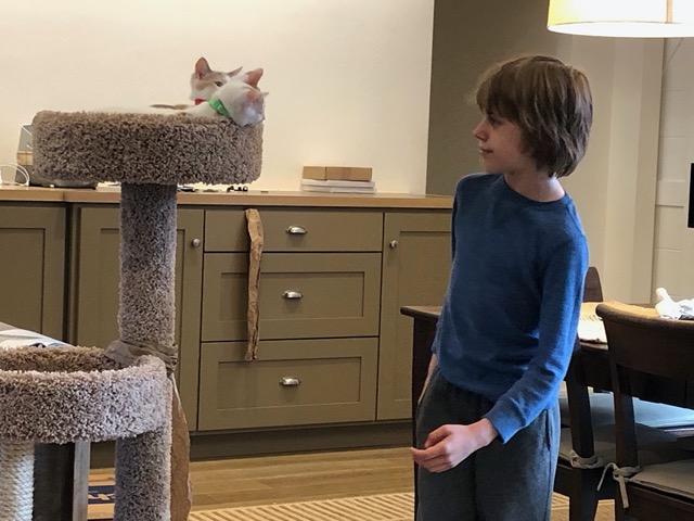 It's at eye level for him
