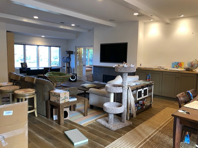 Peaceful living room scene