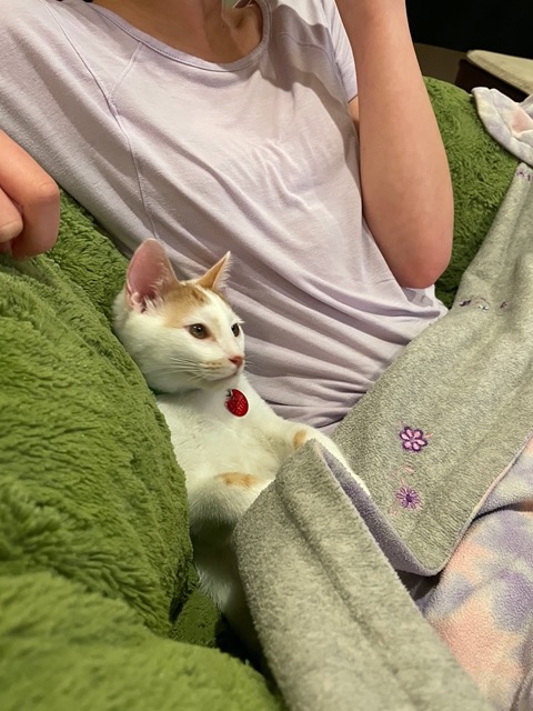 He's very relaxed