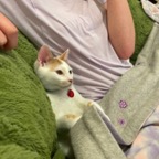 IMG_7351.jpeg