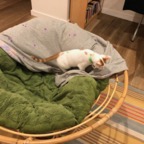 IMG_7380.jpeg