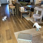IMG_7394.jpeg